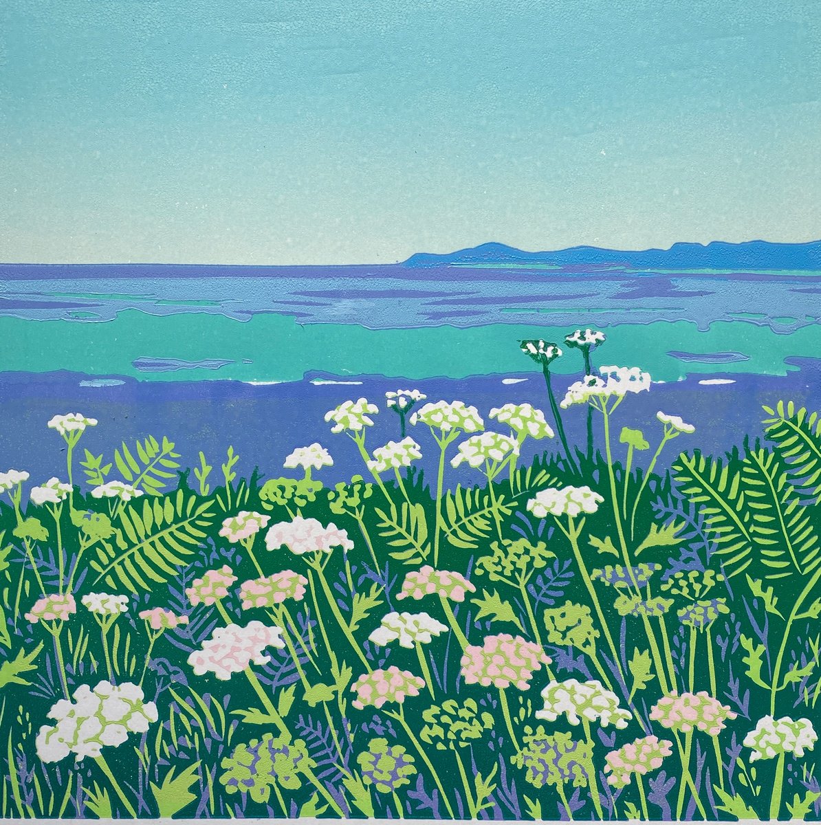 Coastal Yarrow by Shirley Watson