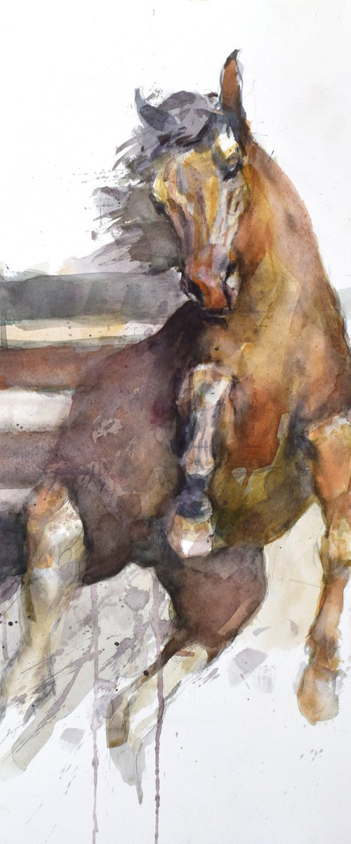 Prancing  horse (70x50) by Goran Žigolić Watercolors