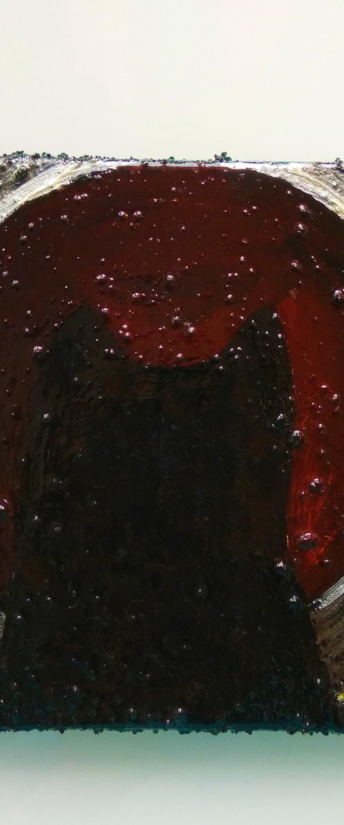 "Cat looking to eternity" by Marya