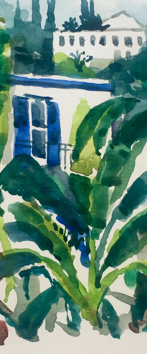View up the hill through the banana palm - Hydra Island - Greece by Annie Meier