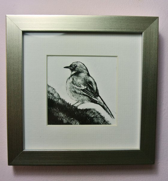 Robin Monotype, Framed Artwork Ready to Hang
