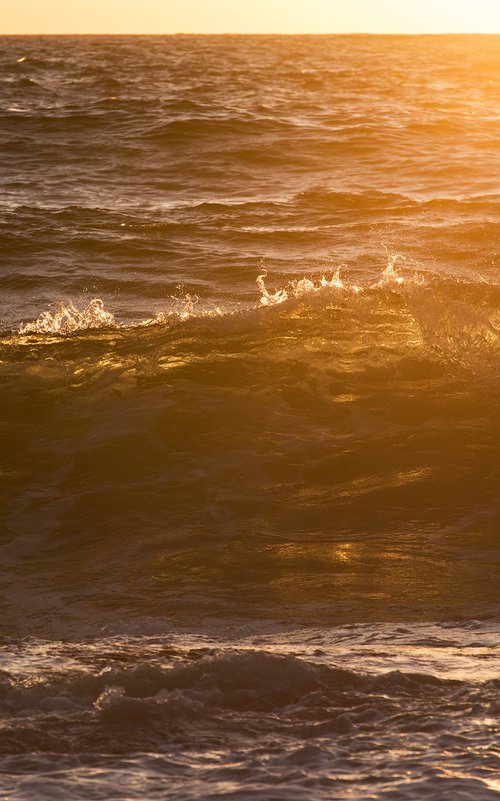 Golden Wave by Anton Gorlin