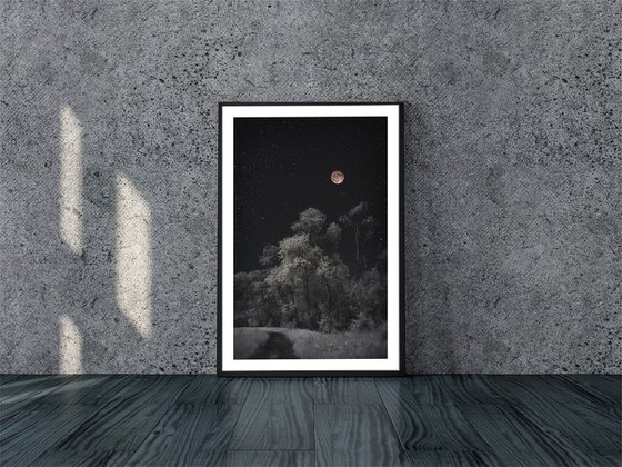 Trees and Moonlit Path- 32x48"