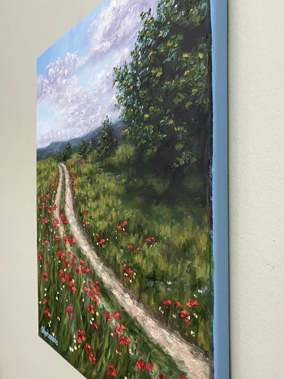Lovely poppy field