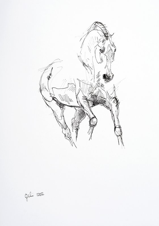 Equine Nude 29a