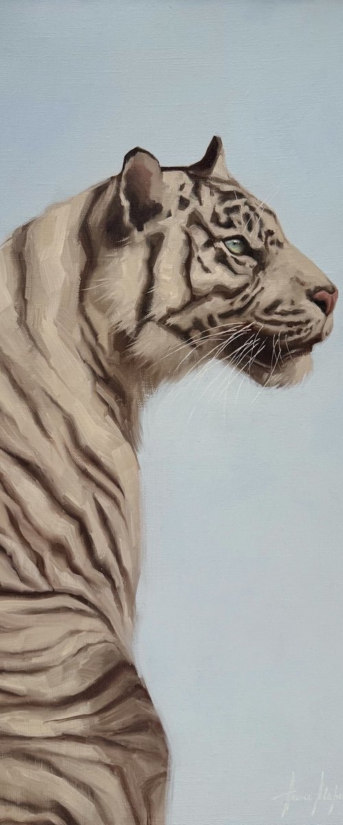 White tiger by Alina Marsovna