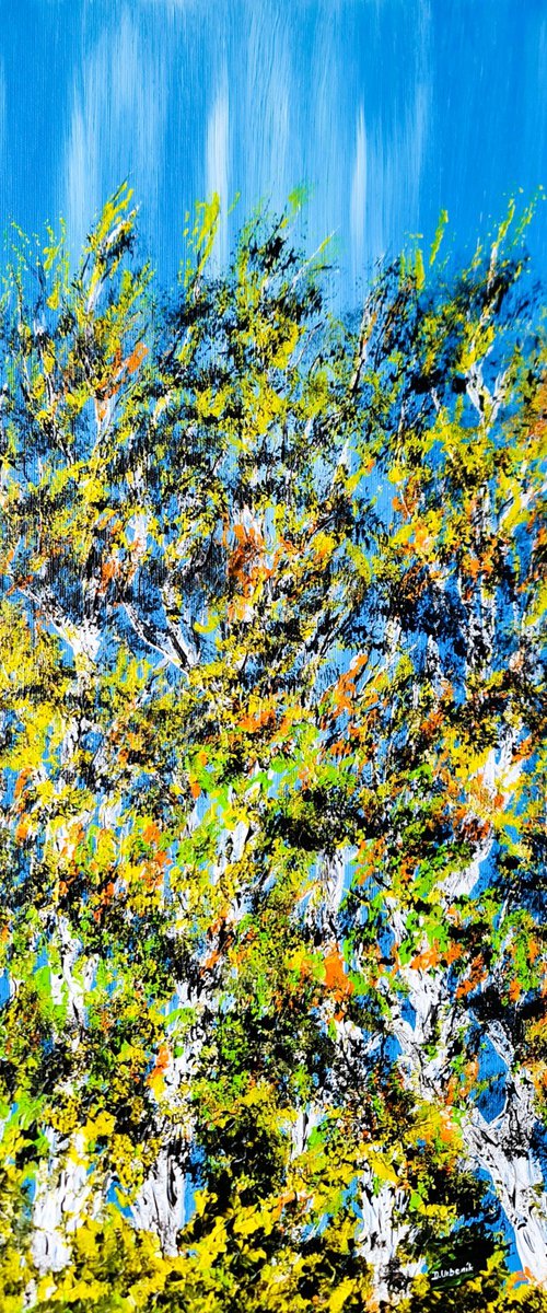 Nice Birches by Daniel Urbaník