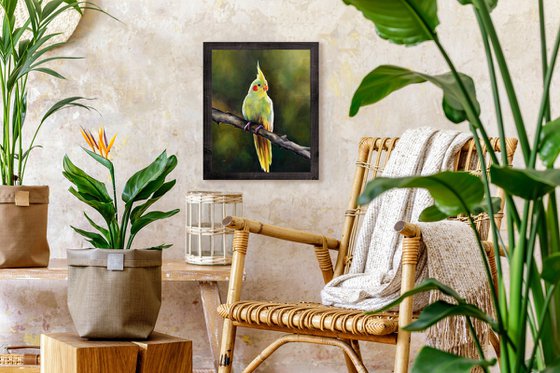 Yellow cockatiel on a branch