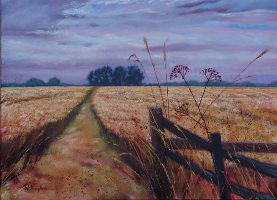 Path Through the Field