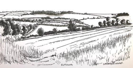 Norfolk Farm Landscape - trees hedges fields hills