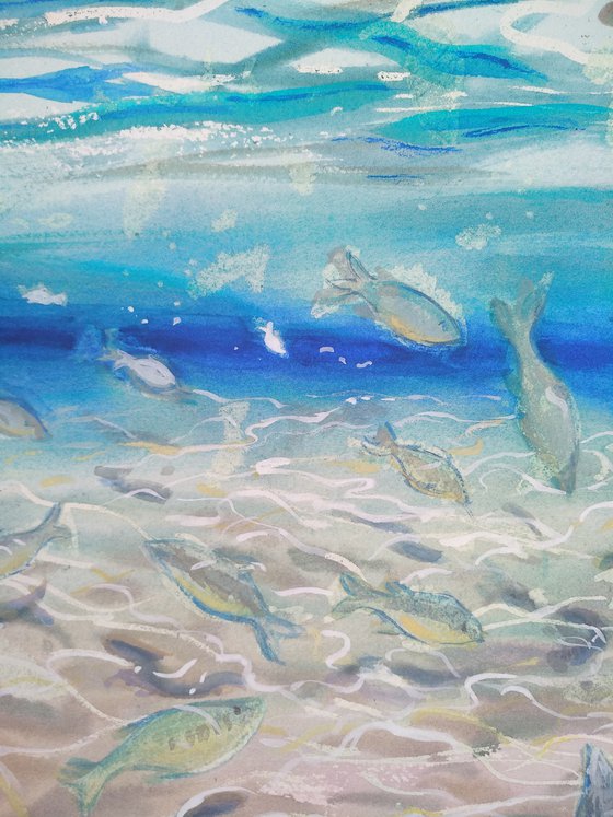 Sea shore fishes