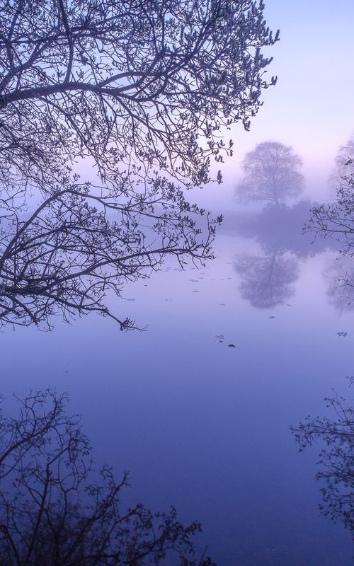 Twilight pond by Baxter Bradford