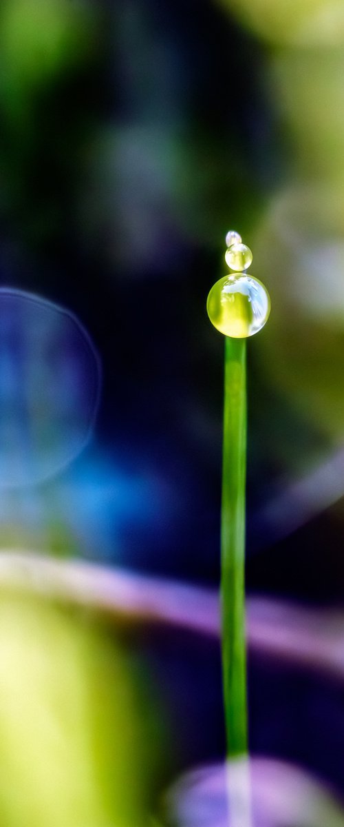 Berliner Fernsehturm - studio edition by Inna Etuvgi