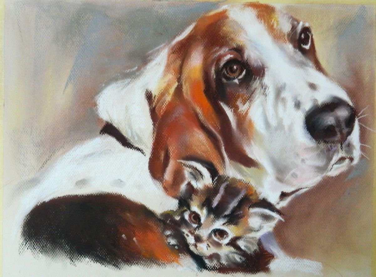 Basset and cat by Magdalena Palega