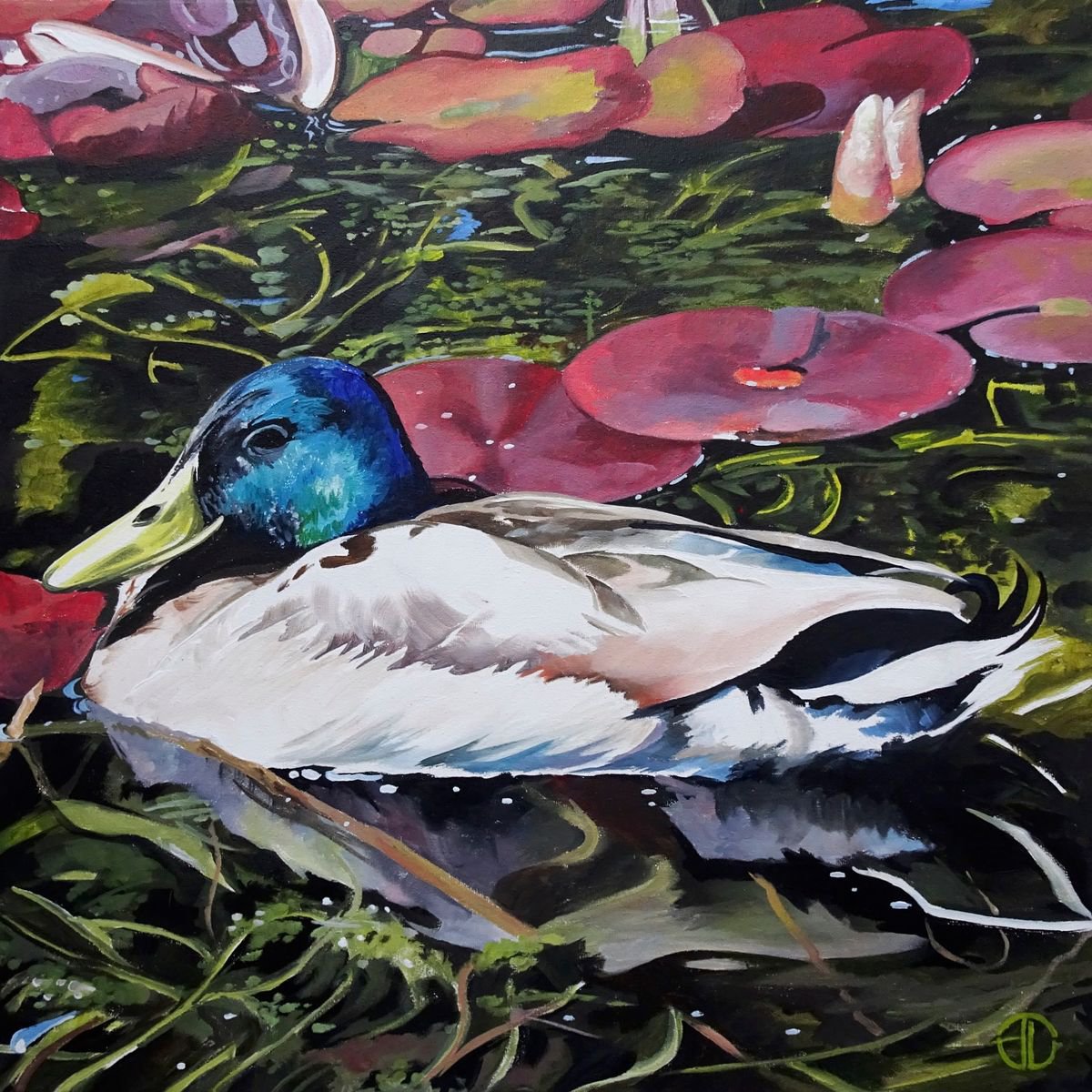 Impressionistic Animal Acrylic Painting By Joseph Lynch, 20 X 20, Mallard In The Winter Sun, Original Artwork