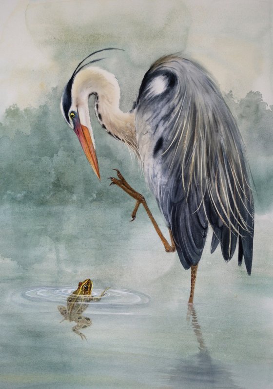 Did I Step On Your Moment?  Great Blue Heron and Frog