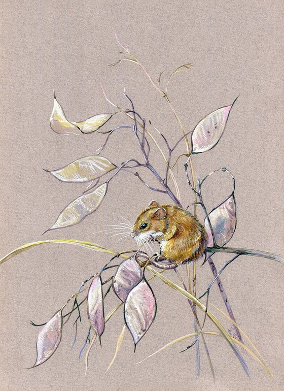 Original watercolor drawing "Harvest mouse"