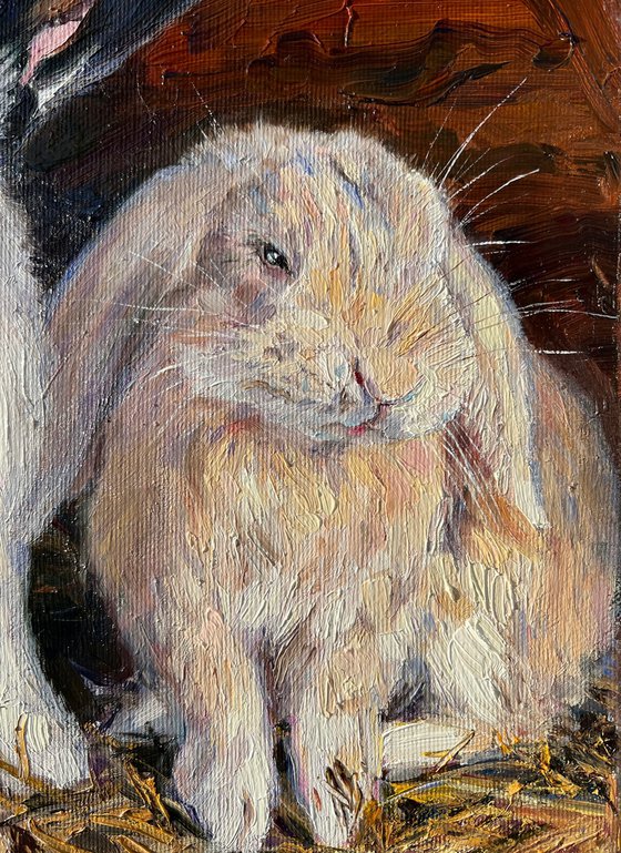 « Sunny bunny»