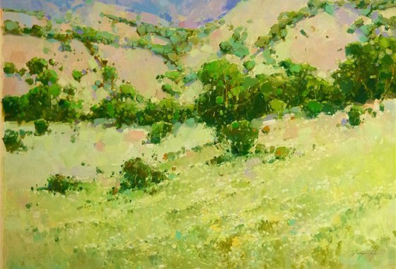 Summer field, Landscape Original oil painting, One of a kind Signed with Certificate of Authenticity