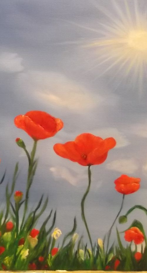 Poppies by Timea  Valsami