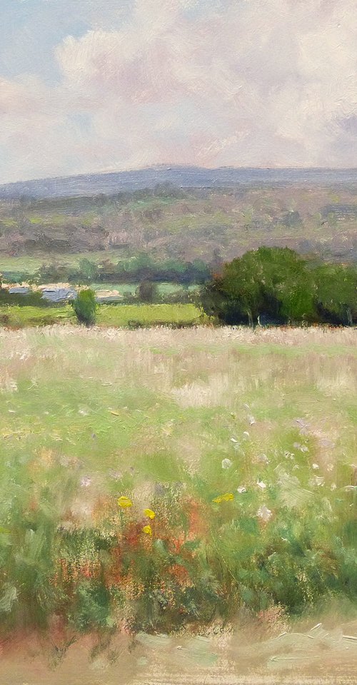 Meadow in the Luberon by Pascal Giroud