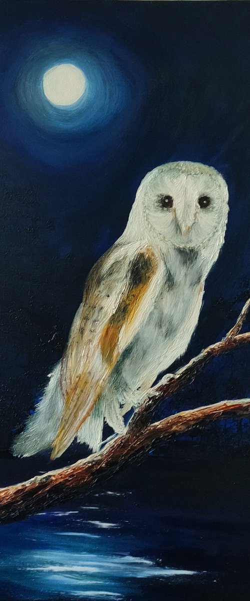 Barn Owl at Night by Hazel Thomson