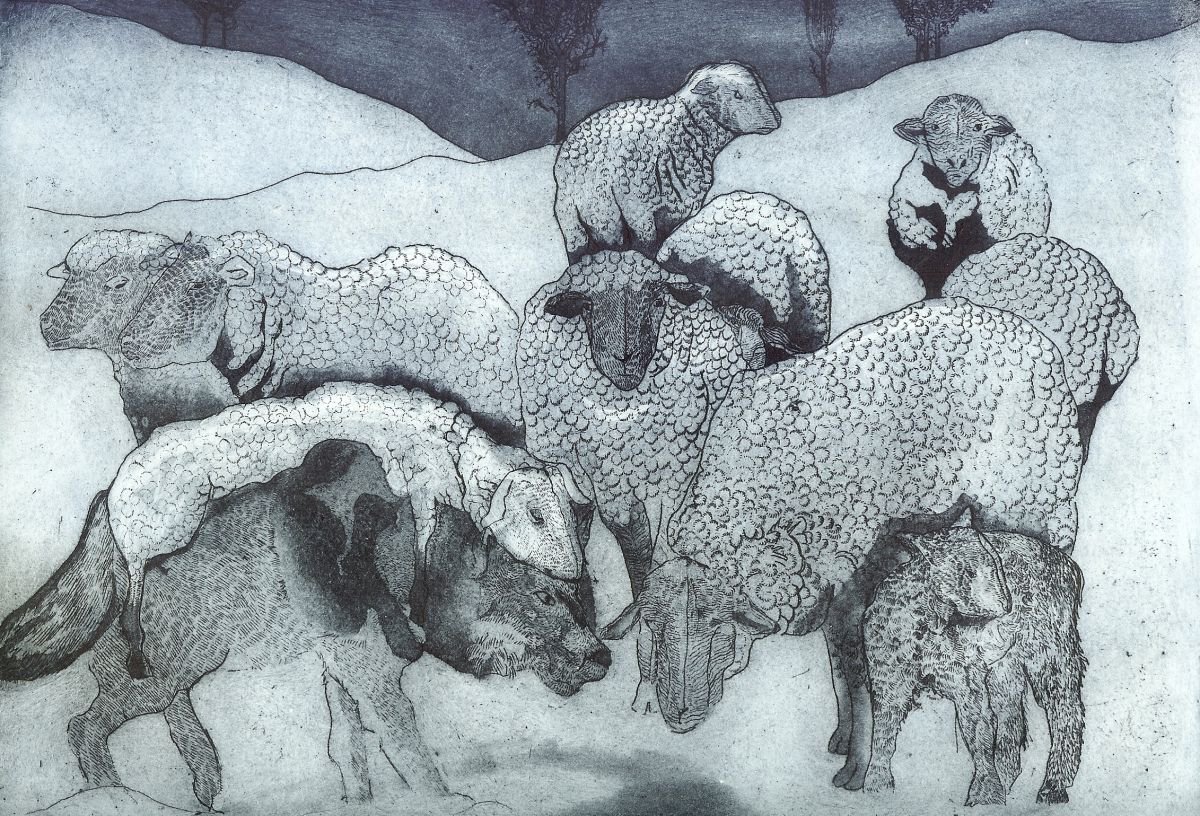 Feeling Sheepish by Jane Daniell