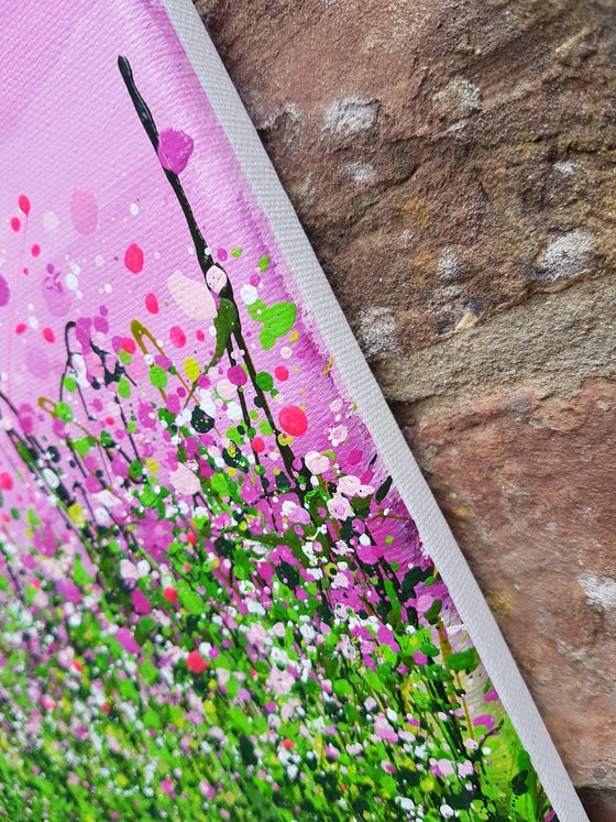 Wild Blush Meadows