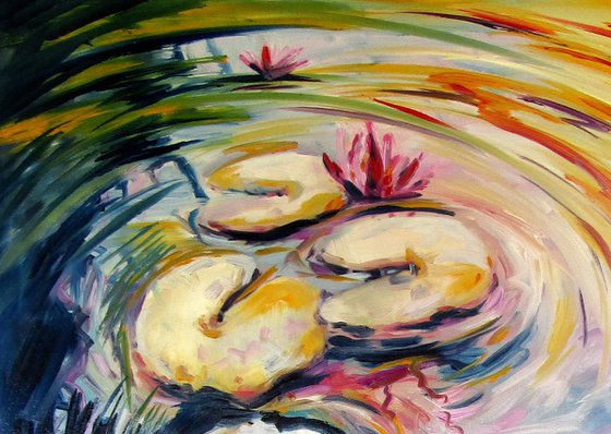 Colorful water lilies III