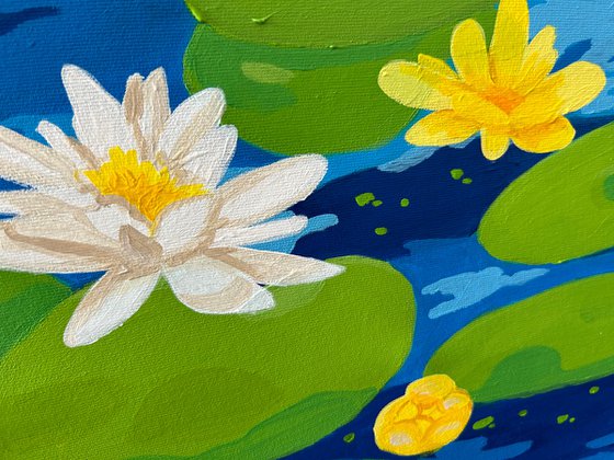 Water lilies