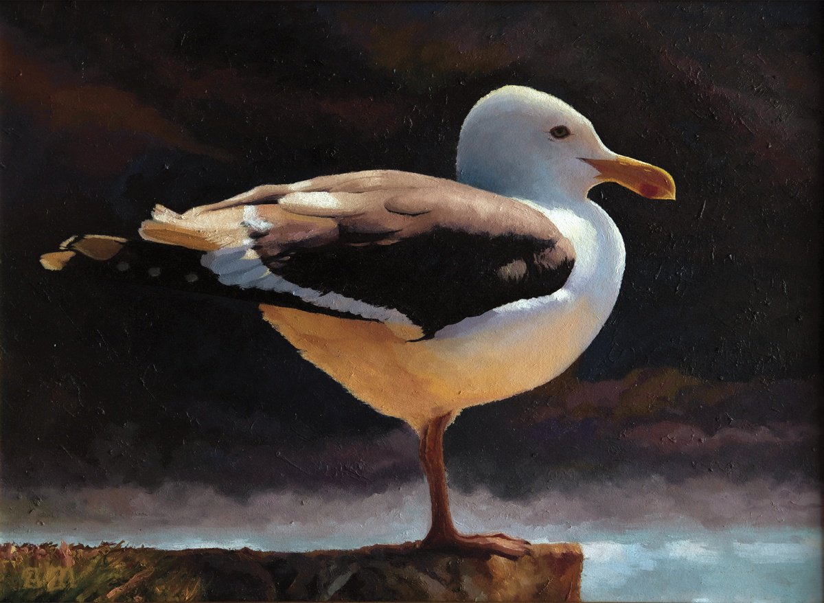 Photorealistic Animal Oil Painting By Alexey Merzlikin, 16 X 12, On The Salty Wind, Original Artwork