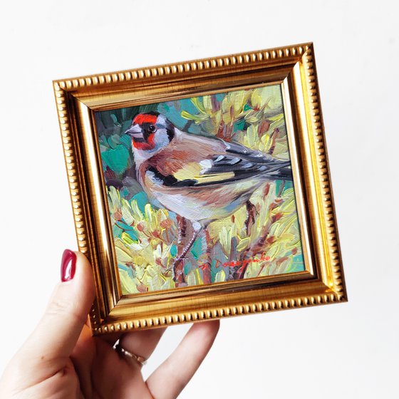 Goldfinch bird