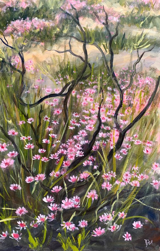 Pink bushfire ephemerals II