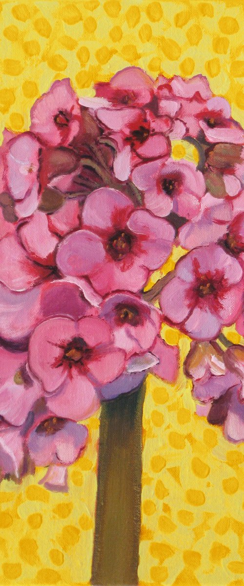 Bergenia Flowers by Richard Gibson