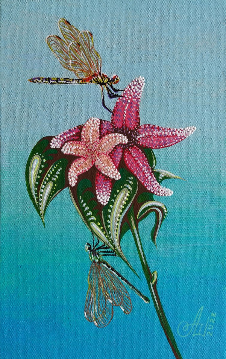 Starfish flowers by Anna Shabalova