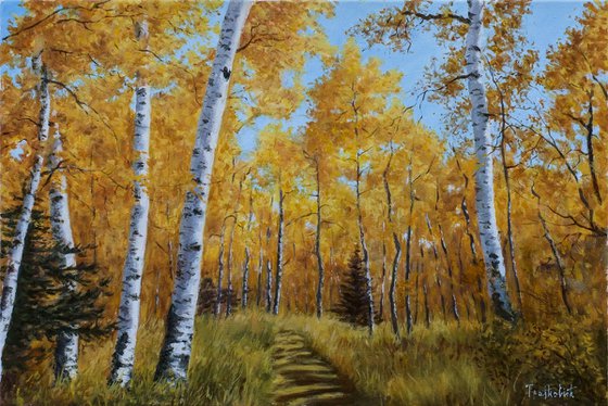 Autumn in Birch Forest