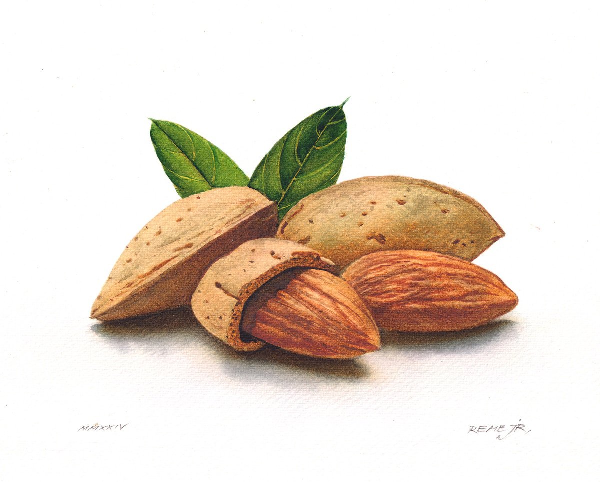 Almond by REME Jr.