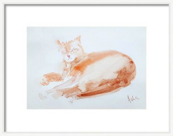 The Orange cat