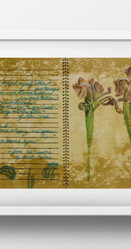 Twin Wild Irises (8x11") by Amrita Saraogi