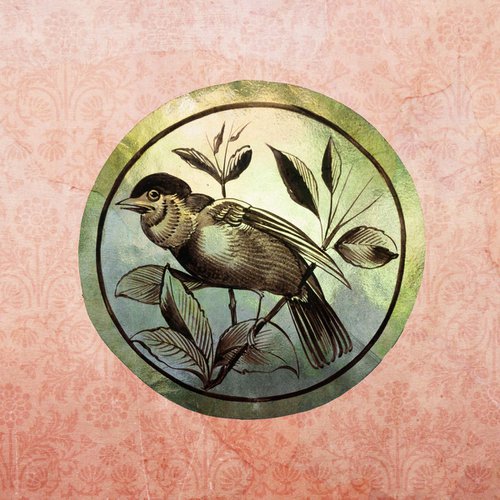 bird on green glass by Emily Hughes