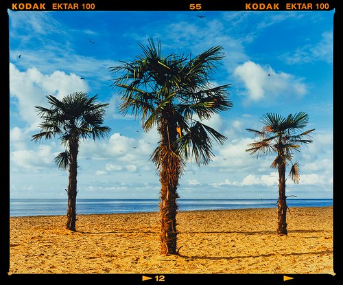 Three Palms, Clacton-on-Sea by Richard Heeps
