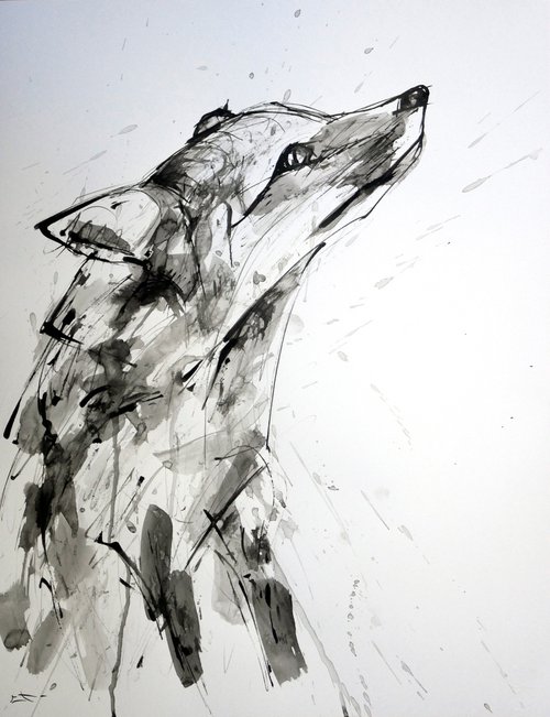 FOX, EXPRESSIVE INK drawing by Lionel Le Jeune