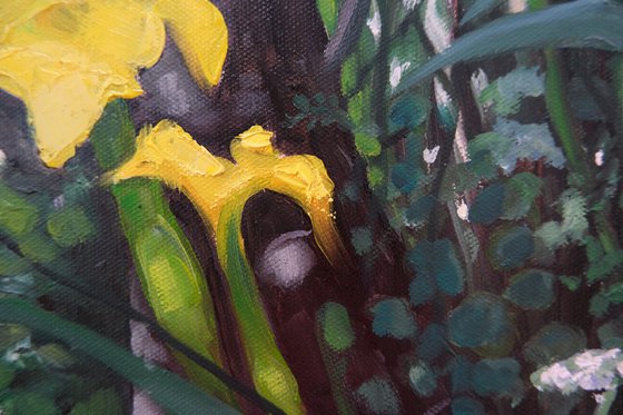 Yellow Iris on the waters edge