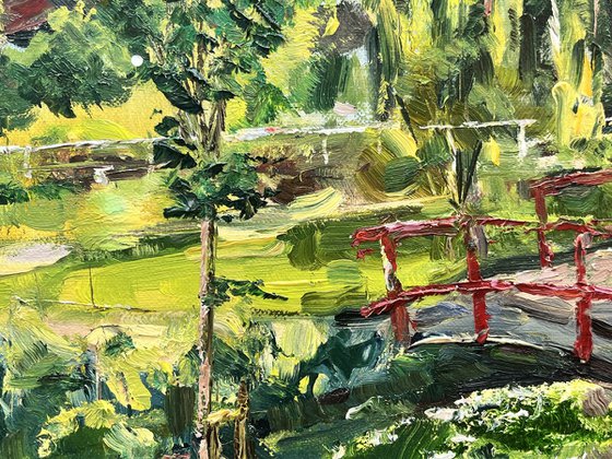Afternoon Light at Coy Pond