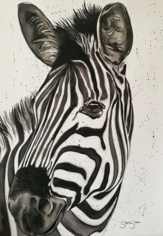 Watercolour Zebra Painting. On Paper. 42cm x 59.4cm. Free Worldwide Shipping