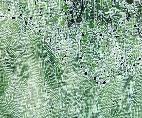 Abstract Patterns on the Green CZ19012