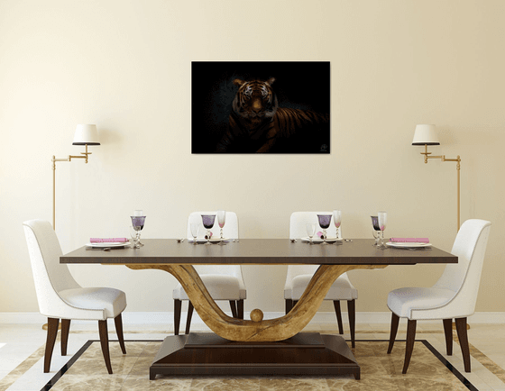 Tiger's Gaze - Fine art