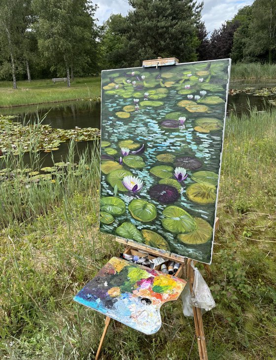 Water Lilies in the Sunlight