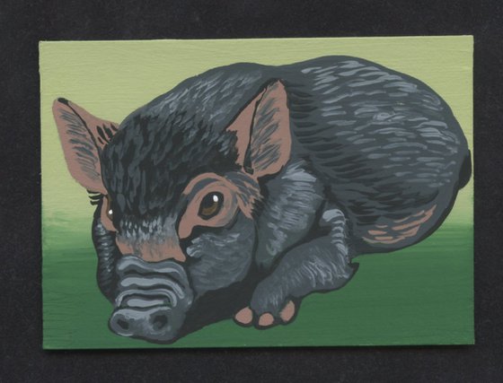 ACEO ATC Original Miniature Painting Black Pig Farmyard Art-Carla Smale