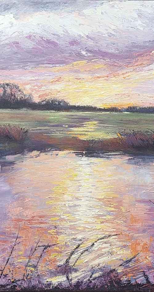 Evening Light by Michele Wallington